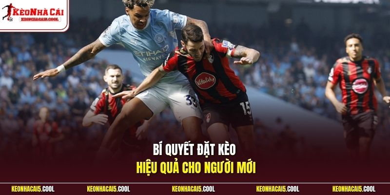 Bí quyết đặt kèo hiệu quả cho người mới