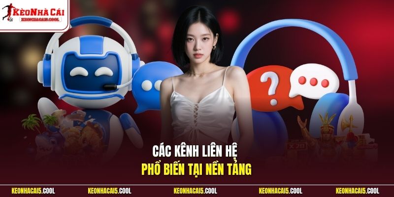 Các kênh liên hệ phổ biến tại nền tảng