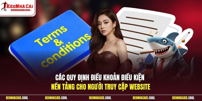 Các quy định điều khoản điều kiện nền tảng cho người truy cập website