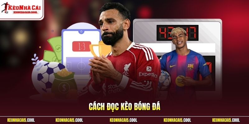 Cách đọc kèo bóng đá