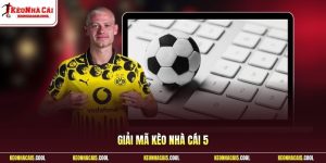 Giải mã kèo nhà cái 5