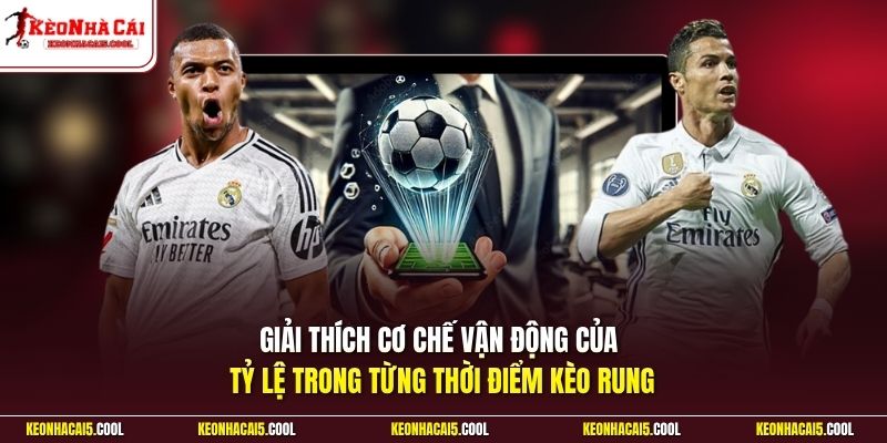 Giải thích cơ chế vận động của tỷ lệ trong từng thời điểm kèo rung