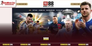 m88