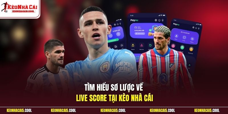 Tìm hiểu sơ lược về live score tại Kèo Nhà Cái