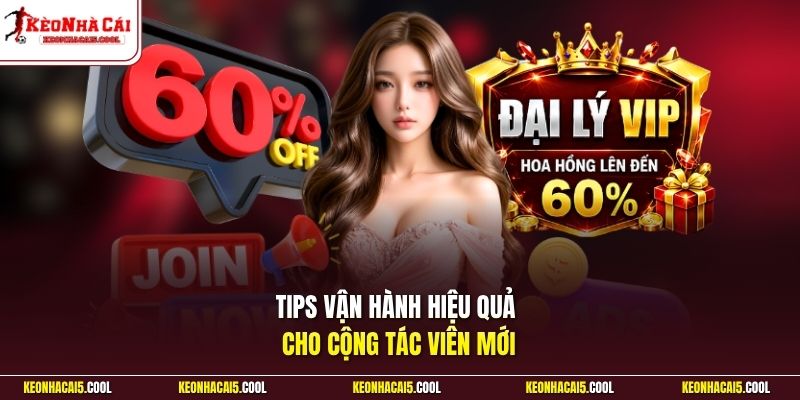 Tips vận hành hiệu quả cho cộng tác viên mới
