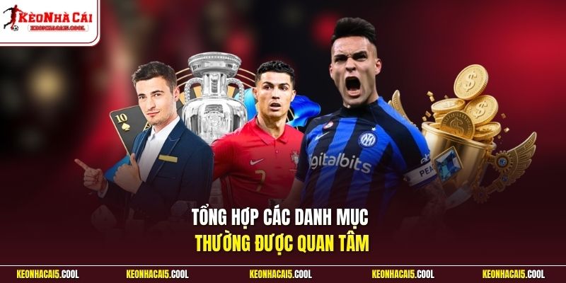 Tổng hợp các danh mục thường được quan tâm