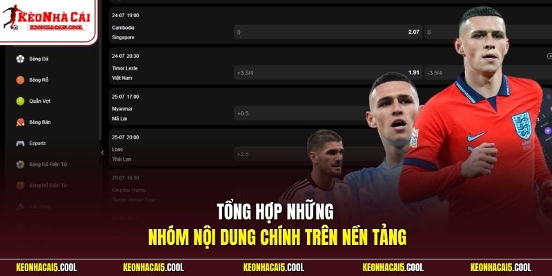 Tổng hợp những nhóm nội dung chính trên nền tảng