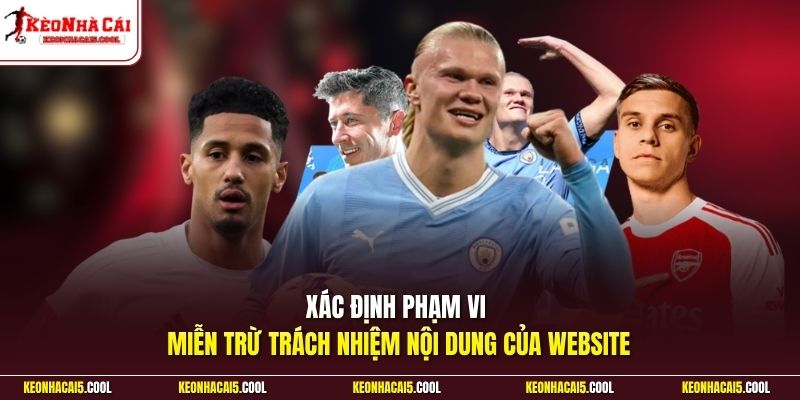 Xác định phạm vi miễn trừ trách nhiệm nội dung của website